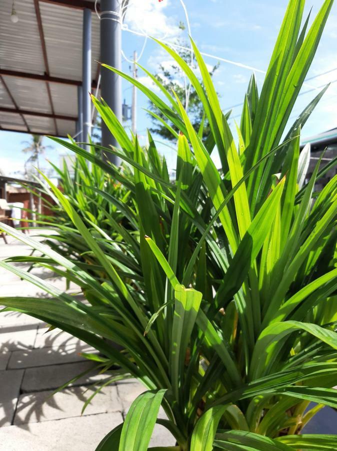 Apartament Connect Phan Thiết Zewnętrze zdjęcie